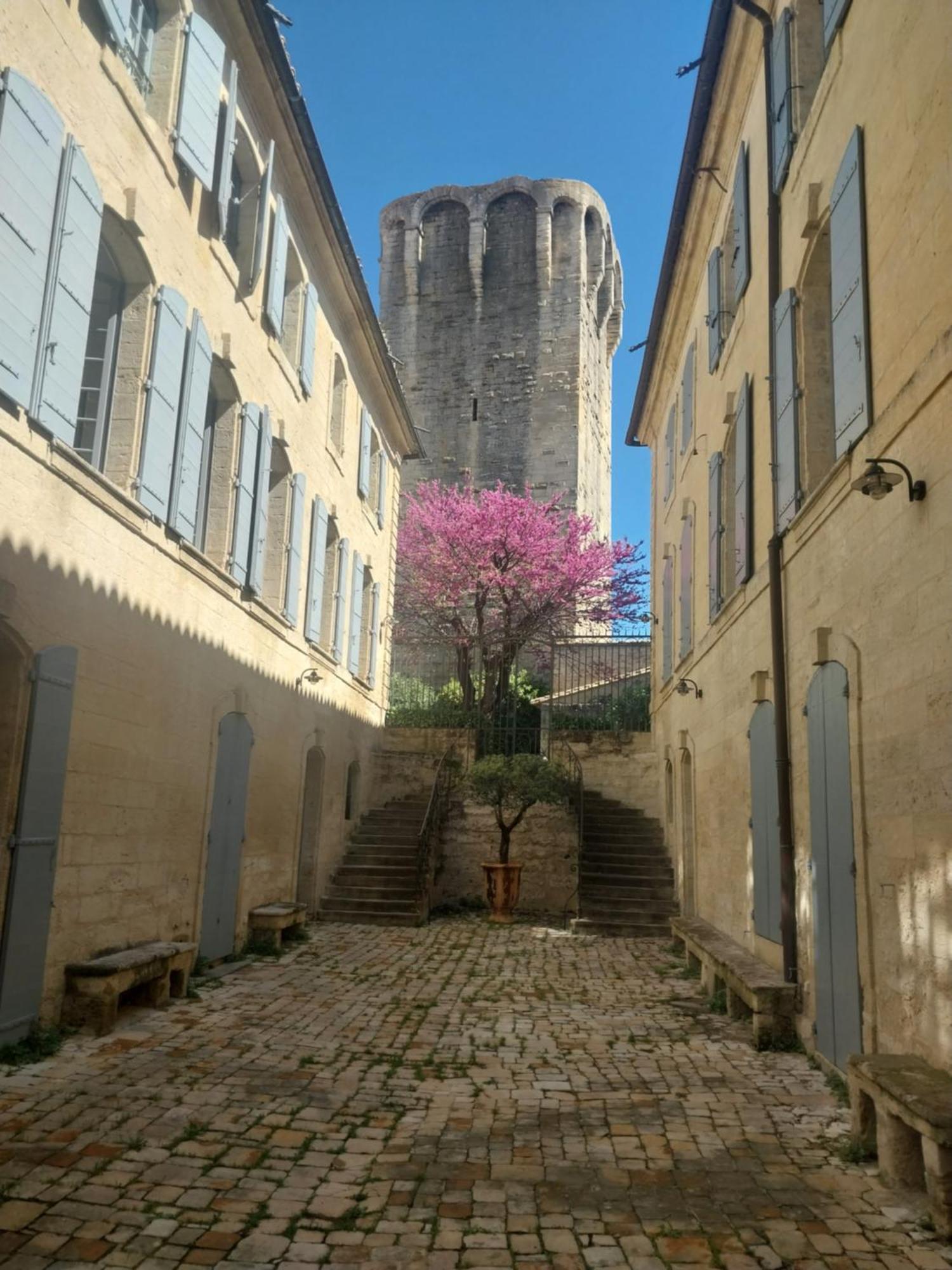 Studio Au Centre Historique D'于泽斯 外观 照片